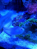 IMG_20170723_175810.jpg