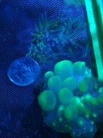IMG_20180210_233210.jpg