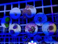 20170819_111822.jpg