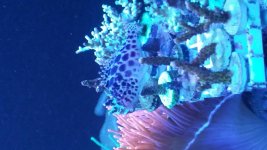 20180202_151440.jpg