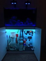 Reefer 250 pic 2.jpg