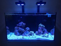 Reefer 250 pic 1.jpg