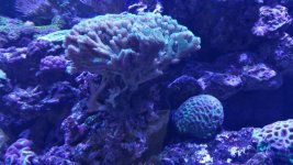 20170820_125244.jpg