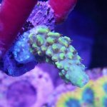 IMG_20171115_182921.jpg
