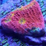 IMG_20171023_193652.jpg