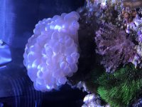 1ED4979F-1E9E-4826-93C5-192C56B78B61.jpg