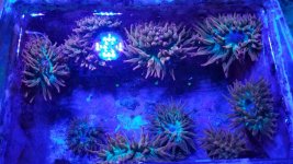 20190208_151849.jpg