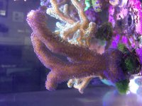 IMG_5246.jpg