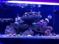 85E1DC77-344A-4167-A6B8-84B4FDAB00D2.jpg