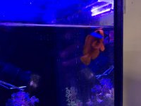 IMG_2303.jpg