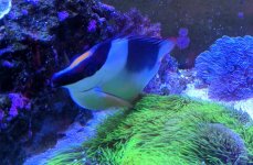 IMG_20180804_143642.jpg