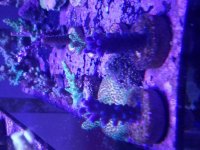 20171116_134616.jpg