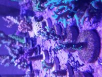 20171116_134622.jpg