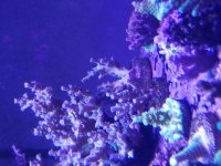 20171116_134708.jpg