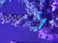 20171116_134651.jpg