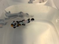 IMG_3078.jpg