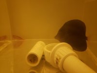 20181201_222341.jpg