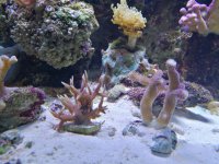 IMG_20171026_011554.jpg