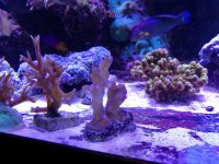 IMG_20171026_010311.jpg