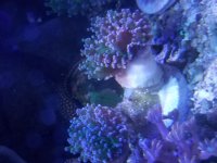 20190419_133959.jpg