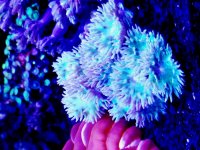 20170617_185024.jpg