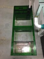 IMG_11231.jpg