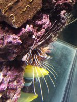 20180212_101655_resized.jpg