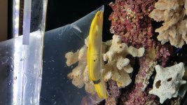20160917_174051.jpg