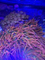 IMG_0251.JPG