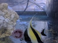 IMG_20181202_200449.jpg