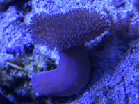 0D2079D2-C442-4113-A0BC-DD4E6C6E55D8.jpg