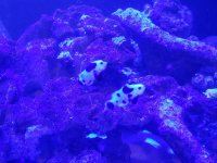 20190124_200328.jpg