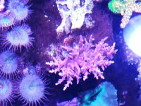 IMG_20190210_113651.jpg