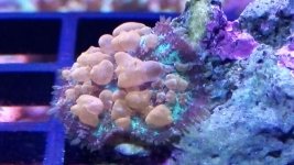 IMG_20171118_201226.jpg