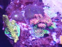 IMG_20190210_113814.jpg