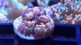 IMG_20171118_201237.jpg