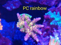 2018-12-03-11-29-23.jpg