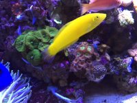 IMG_7636.JPG
