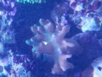 20190210_171028.jpg