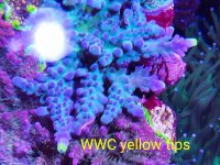 2018-12-03-11-25-01.jpg
