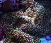 IMG_20180214_204945.jpg