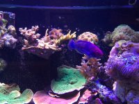 IMG_7649.JPG