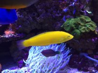 IMG_7635.JPG