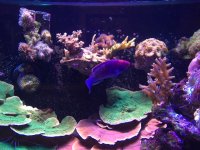 IMG_7648.JPG