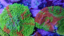 IMG_20180109_191401.jpg