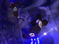 IMG_3047.jpg