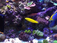 IMG_7631.JPG