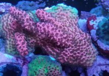IMG_20180127_193055.jpg