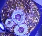 2018-12-03_16-17-12.jpg