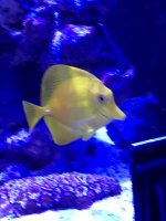 IMG_2209.jpg